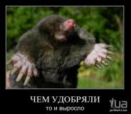������ ��� KPOT
